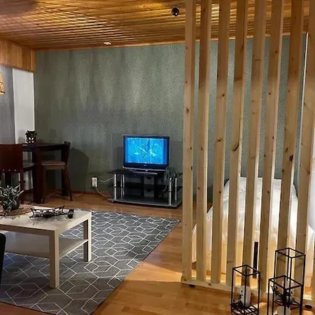Tilava Huoneisto Apartment *
